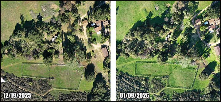 Progress Example